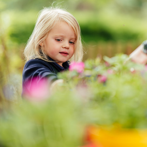 Bluebell Nursery at Langley School