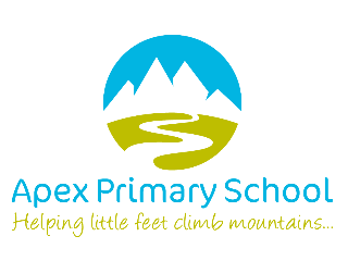 Apex Primary School